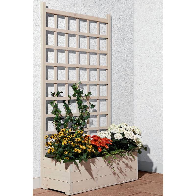 Mr. Gardener Pflanzkasten mit Rankgitter beige ca ...
